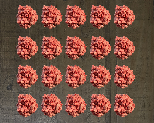 20 lbs Grass Fed Ground Beef Box