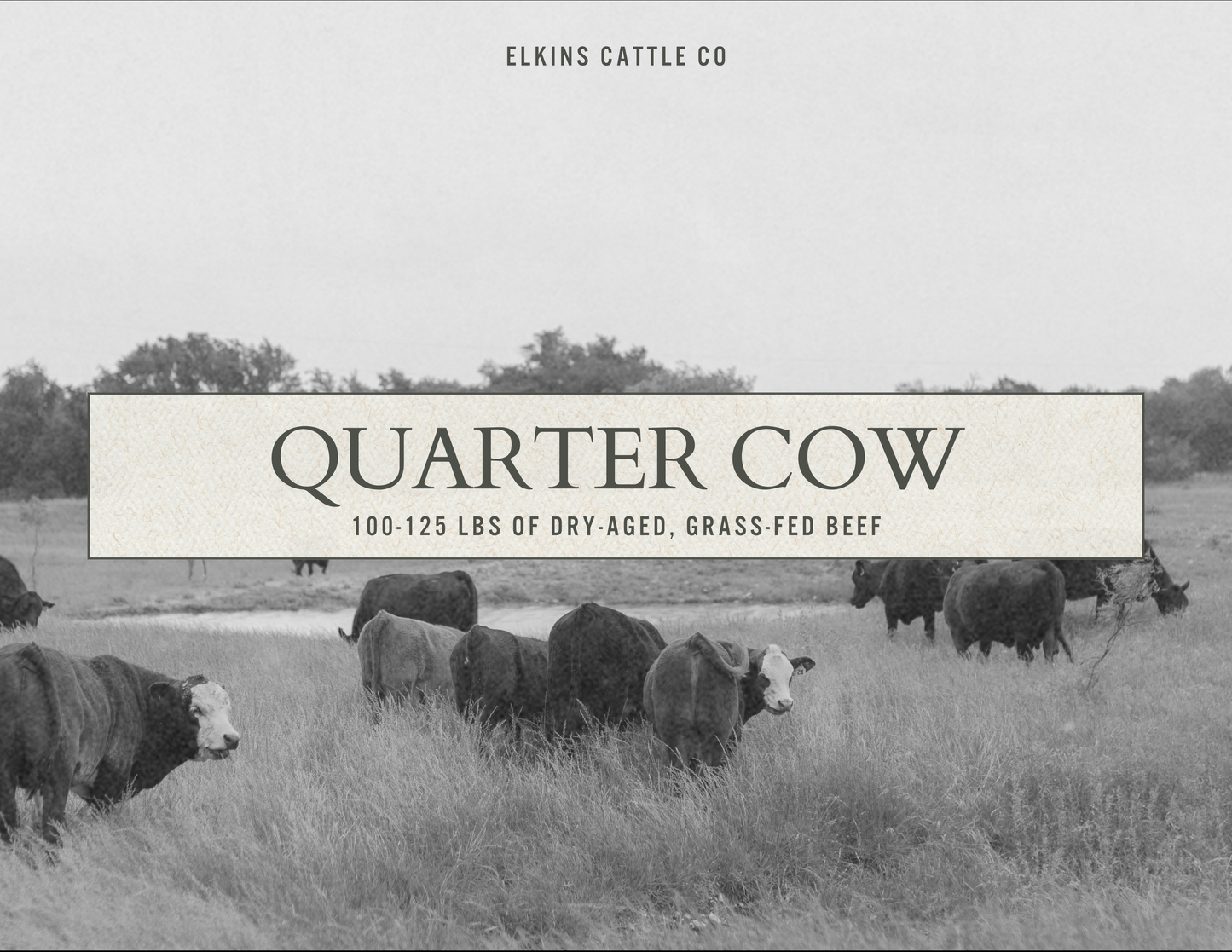 Grass-Fed & Finished Angus Quarter Cow