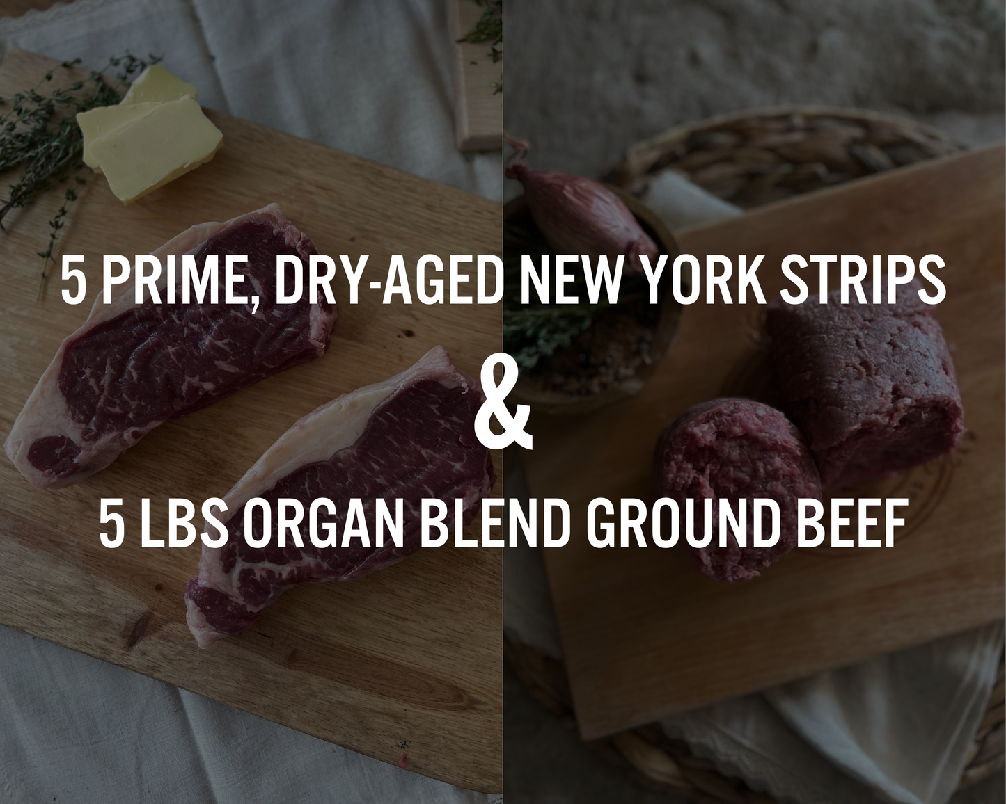 Elkins Cattle Caveman Box