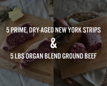 Elkins Cattle Caveman Box