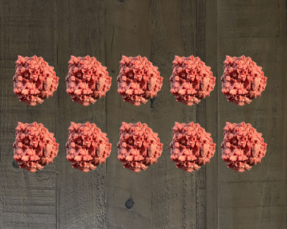 10 lb Grass-Fed Ground Beef Box | Elkins Cattle Co.