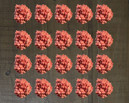 20 lb Grass-Fed Ground Beef Box | Elkins Cattle Co.