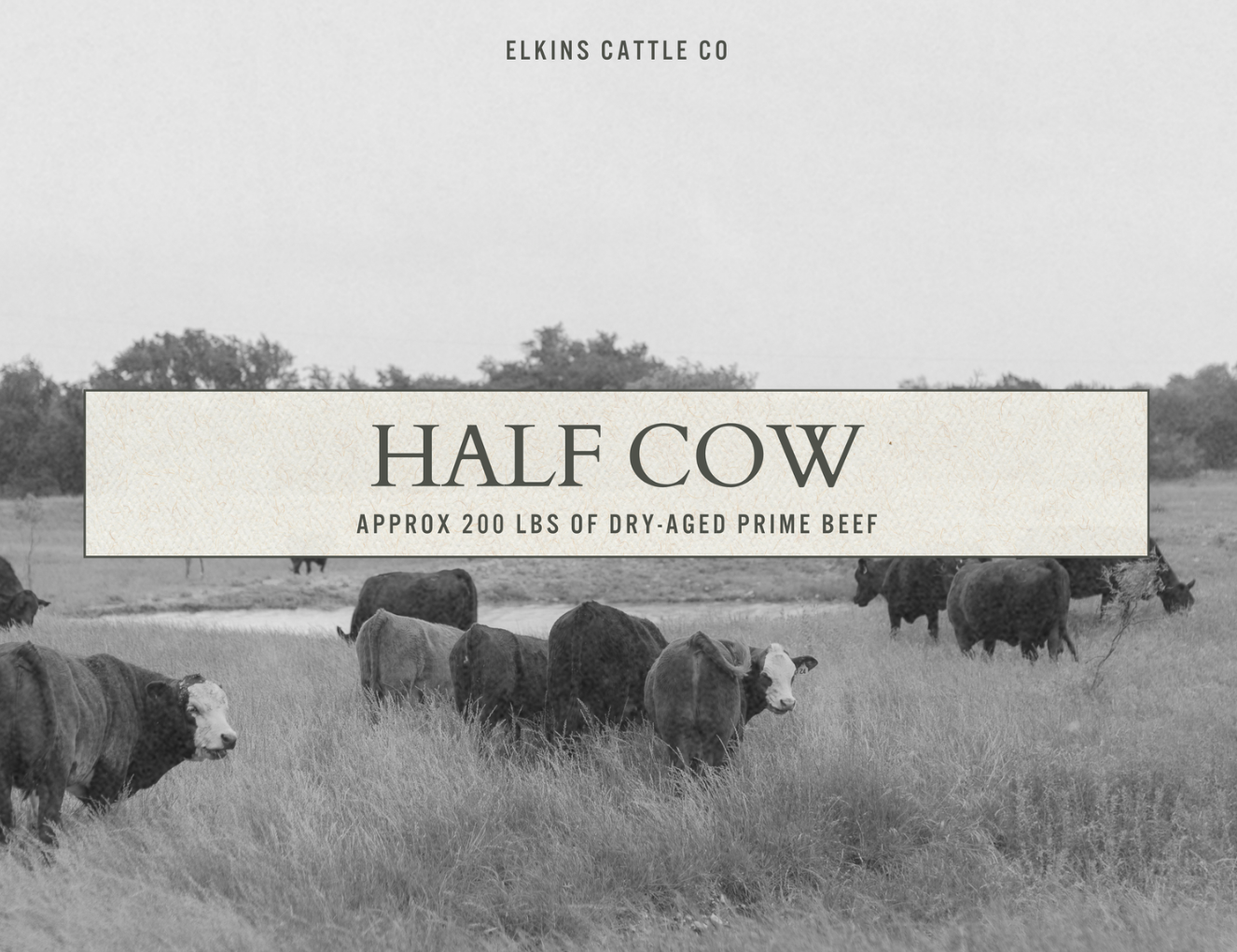 Elkins Half Cow